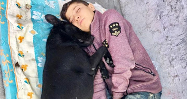 Beşiktaş’ta Kaldırım Üzerinde Köpeğe Sarılarak Uyuyan Çocuğa ’AHBAP’ Sahip Çıktı