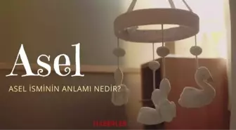Asel isminin anlamı nedir? Asel ismi Kuran’da geçiyor mu? Asel ne demek?