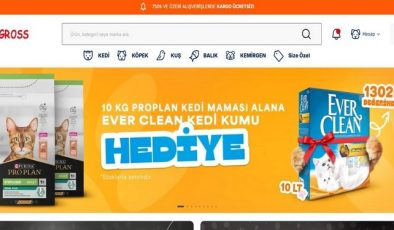 Köpek Aksesuarları: Tasma, Kayış ve Kıyafetlerle Stil Sahibi Köpekler